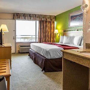 Zimmer mit Kingsize-Bett
